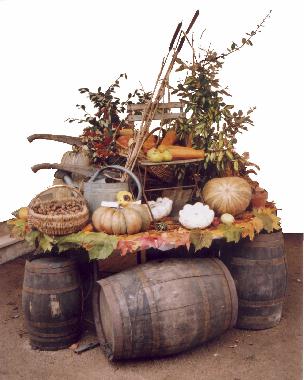 Saveurs d'automne
